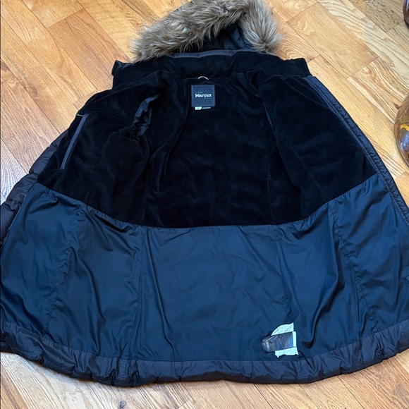 • Marmot• - Picture 7 of 10